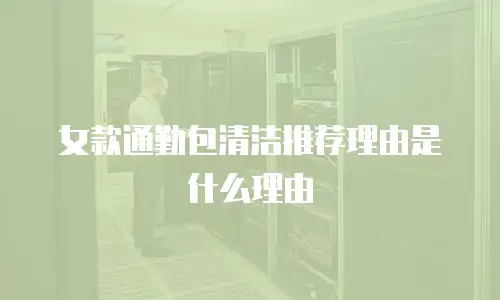 女款通勤包清洁推荐理由是什么理由
