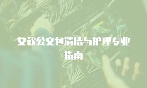 女款公文包清洁与护理专业指南