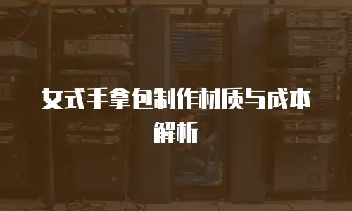 女式手拿包制作材质与成本解析