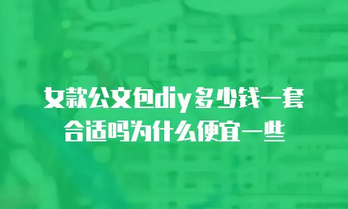 女款公文包diy多少钱一套合适吗为什么便宜一些