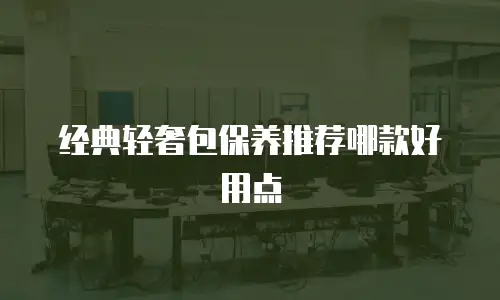 经典轻奢包保养推荐哪款好用点