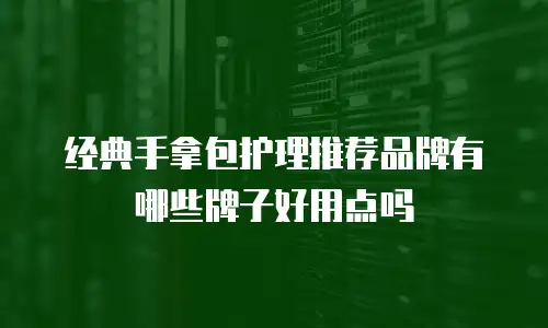 经典手拿包护理推荐品牌有哪些牌子好用点吗