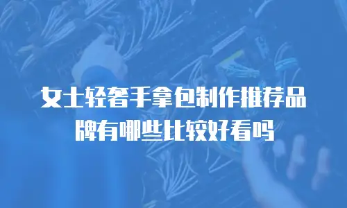 女士轻奢手拿包制作推荐品牌有哪些比较好看吗
