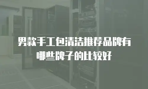 男款手工包清洁推荐品牌有哪些牌子的比较好