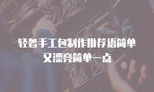 轻奢手工包制作推荐语简单又漂亮简单一点