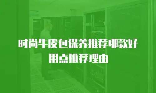 时尚牛皮包保养推荐哪款好用点推荐理由