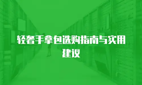 轻奢手拿包选购指南与实用建议