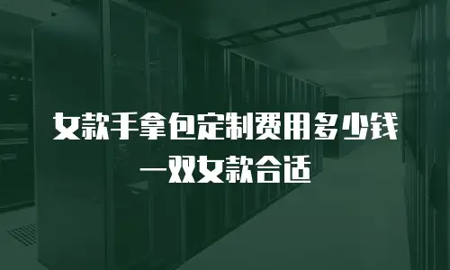 女款手拿包定制费用多少钱一双女款合适