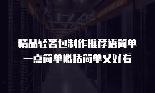 精品轻奢包制作推荐语简单一点简单概括简单又好看