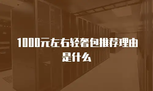 1000元左右轻奢包推荐理由是什么