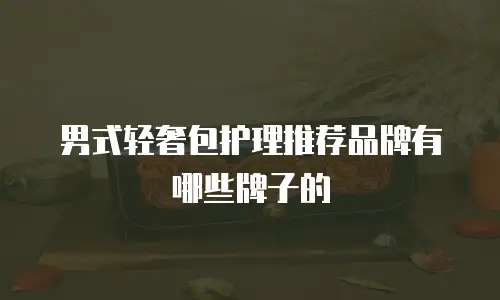 男式轻奢包护理推荐品牌有哪些牌子的