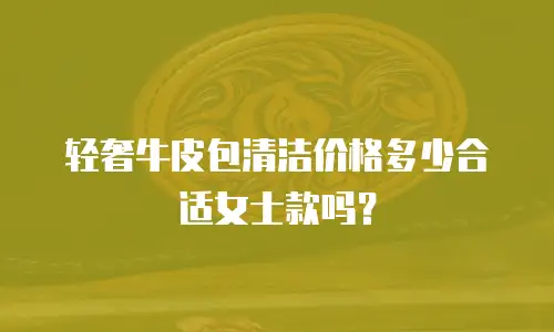 轻奢牛皮包清洁价格多少合适女士款吗？