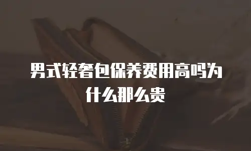男式轻奢包保养费用高吗为什么那么贵