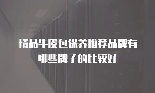 精品牛皮包保养推荐品牌有哪些牌子的比较好