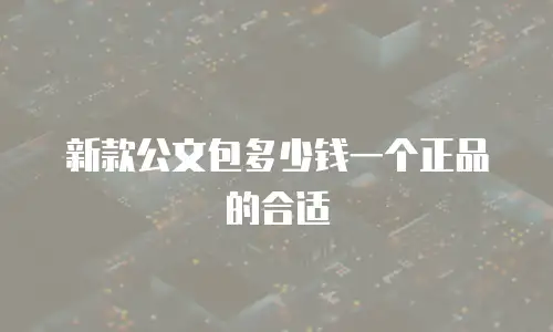 新款公文包多少钱一个正品的合适