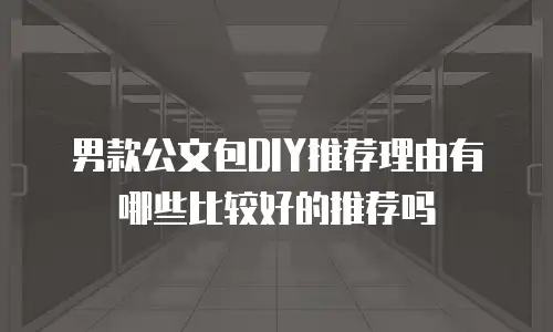 男款公文包DIY推荐理由有哪些比较好的推荐吗