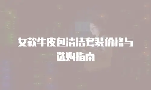 女款牛皮包清洁套装价格与选购指南