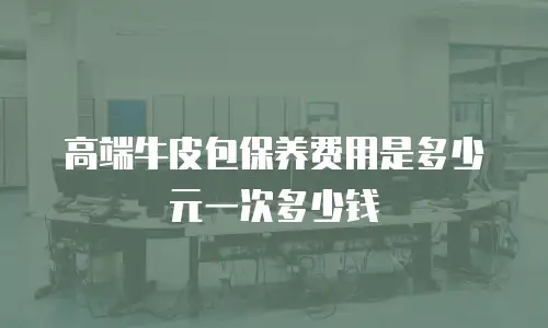 高端牛皮包保养费用是多少元一次多少钱