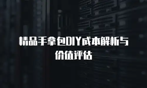精品手拿包DIY成本解析与价值评估