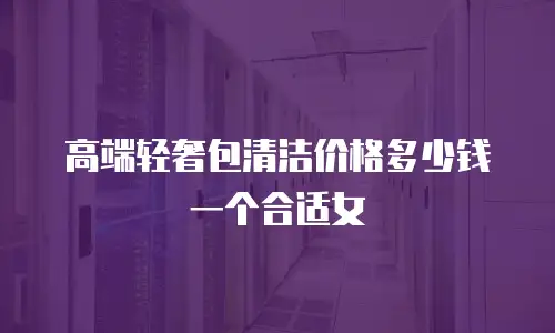 高端轻奢包清洁价格多少钱一个合适女