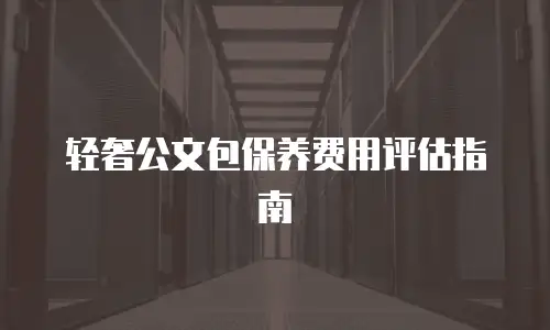 轻奢公文包保养费用评估指南