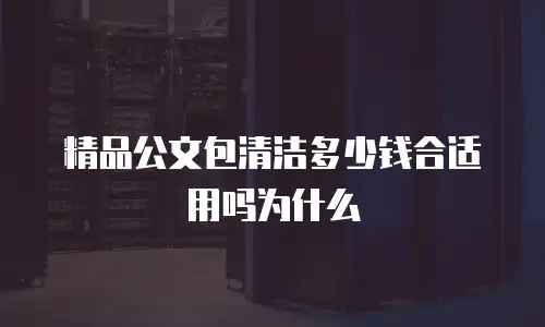 精品公文包清洁多少钱合适用吗为什么