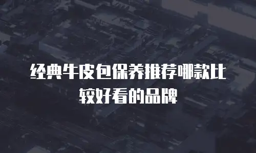 经典牛皮包保养推荐哪款比较好看的品牌