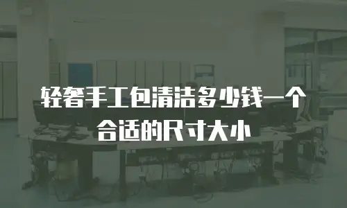 轻奢手工包清洁多少钱一个合适的尺寸大小