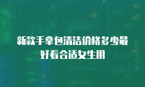 新款手拿包清洁价格多少最好看合适女生用