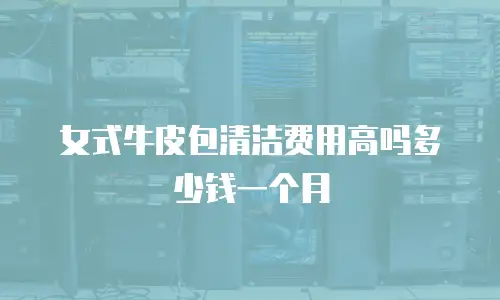 女式牛皮包清洁费用高吗多少钱一个月