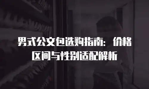 男式公文包选购指南：价格区间与性别适配解析