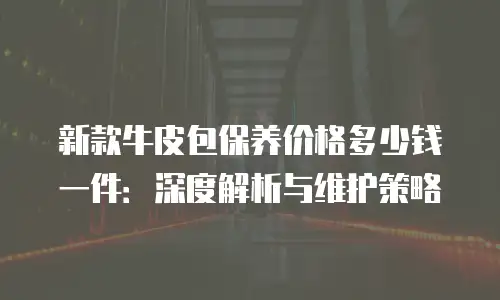 新款牛皮包保养价格多少钱一件：深度解析与维护策略
