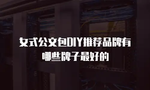 女式公文包DIY推荐品牌有哪些牌子最好的