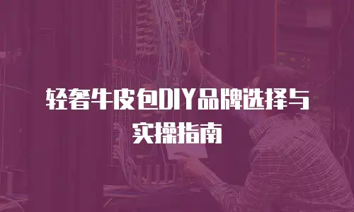 轻奢牛皮包DIY品牌选择与实操指南