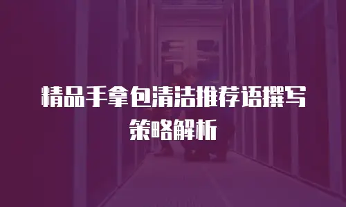精品手拿包清洁推荐语撰写策略解析