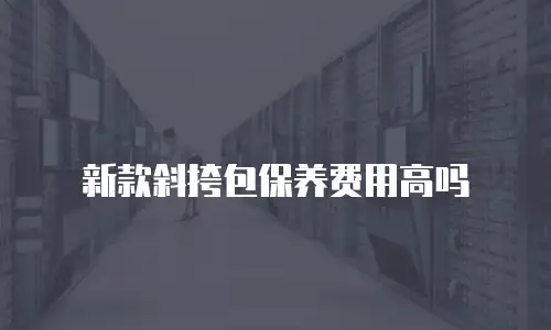 新款斜挎包保养费用高吗