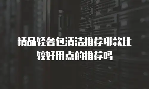 精品轻奢包清洁推荐哪款比较好用点的推荐吗