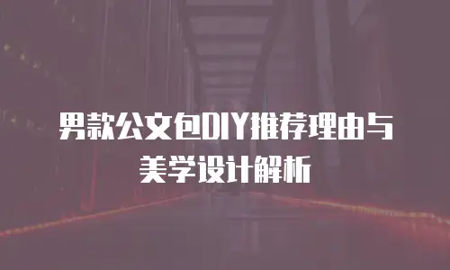 男款公文包DIY推荐理由与美学设计解析