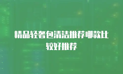 精品轻奢包清洁推荐哪款比较好推荐