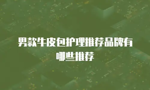 男款牛皮包护理推荐品牌有哪些推荐