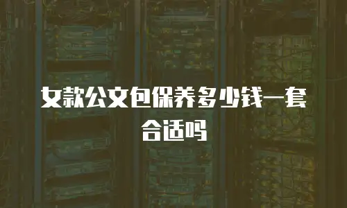 女款公文包保养多少钱一套合适吗