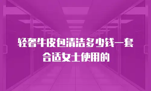 轻奢牛皮包清洁多少钱一套合适女士使用的