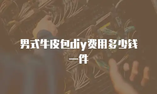 男式牛皮包diy费用多少钱一件
