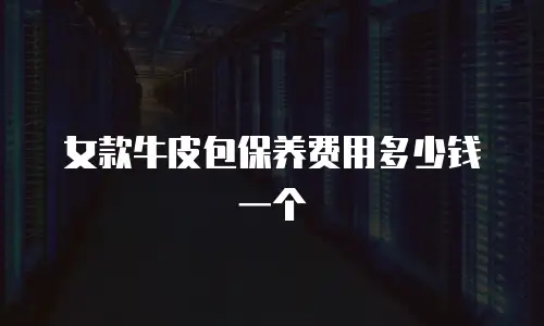 女款牛皮包保养费用多少钱一个