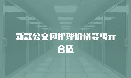 新款公文包护理价格多少元合适