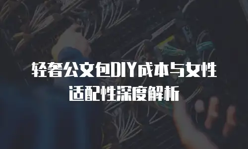 轻奢公文包DIY成本与女性适配性深度解析