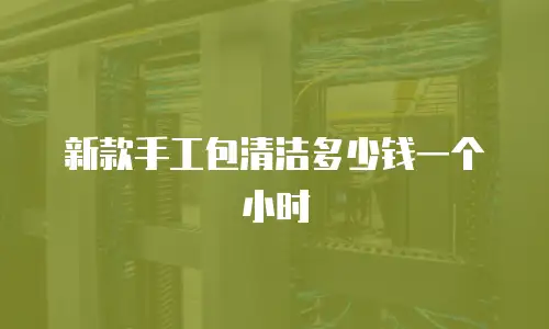 新款手工包清洁多少钱一个小时