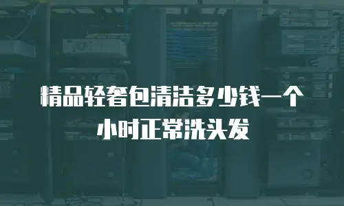 精品轻奢包清洁多少钱一个小时正常洗头发