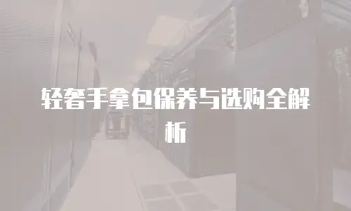 轻奢手拿包保养与选购全解析