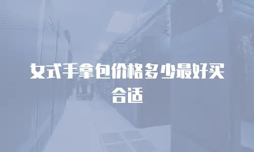 女式手拿包价格多少最好买合适